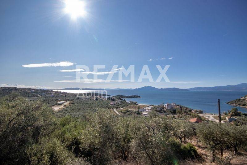 Θέα στον Παγασητικό