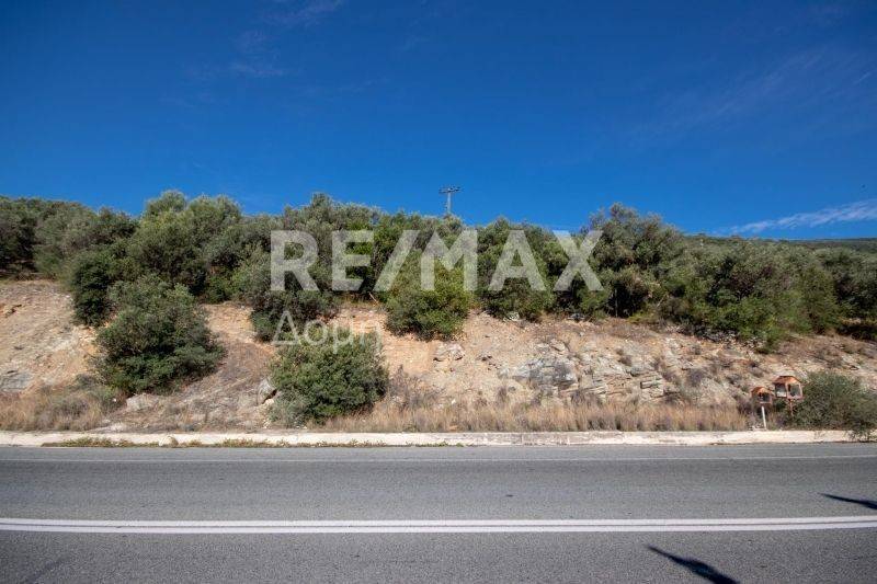 Πρόσωπο στην Εθνική οδό Αθηνών Βόλου