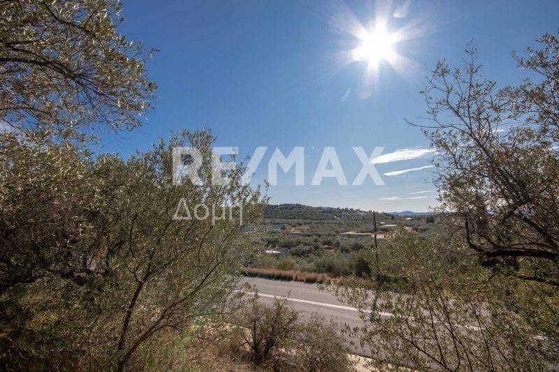 Θέα από το χαμηλότερο επίπεδο