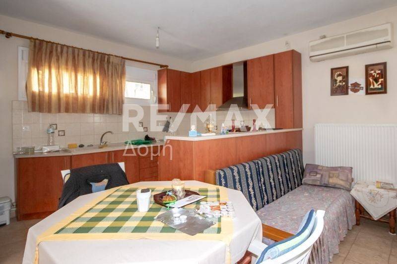 Σαλοκουζίνα