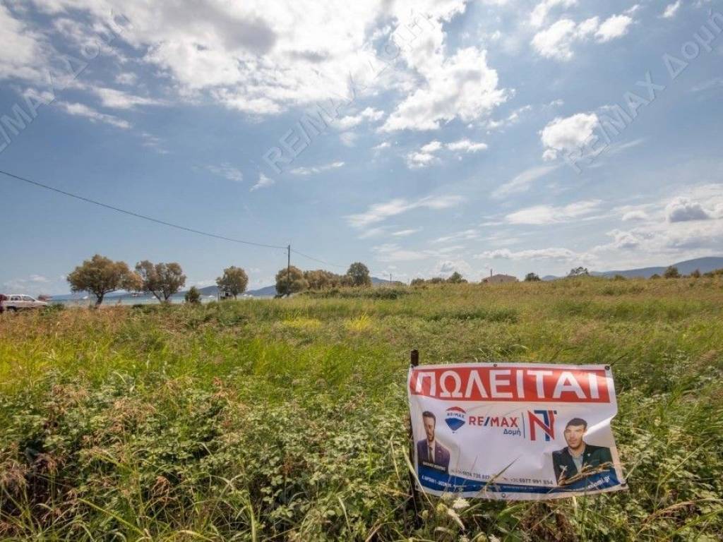 Αγροτεμάχιο | 4032τ.μ. | 149000 €