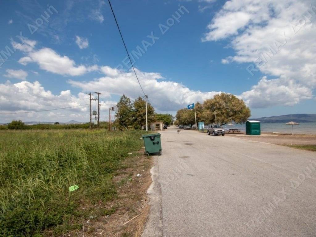 Αγροτεμάχιο | 4032τ.μ. | 149000 €