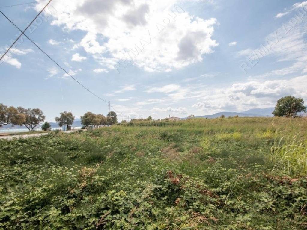 Αγροτεμάχιο | 4032τ.μ. | 149000 €