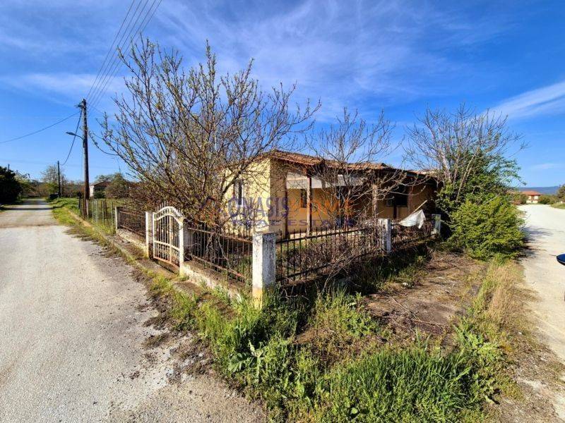 Εξωτερικός χώρος