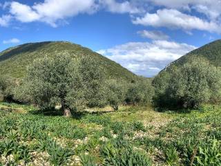 Landscape and views of land for sale in Frikes, Ithaca