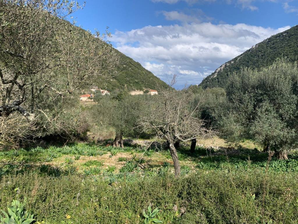 Landscape and terrain of land for sale in Frikes, Ithaca