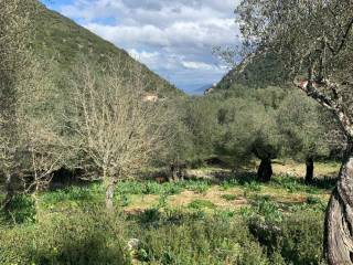 Olive groves and views of land for sale in Frikes, Ithaca