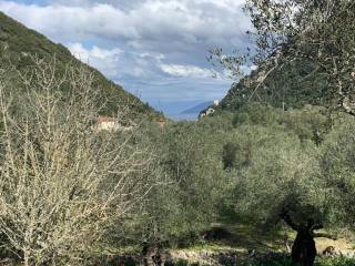Sea view and olive groves of land for sale in Frikes, Ithaca