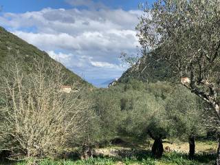 Olive groves and sea views of land for sale in Frikes, Ithac
