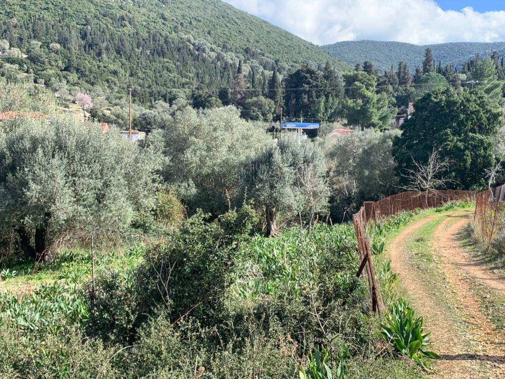 Aerial view of the property and the access road