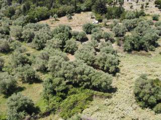 Aerial view of land for sale in Frikes, Ithaca