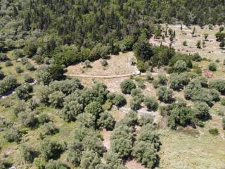 Aerial view of land for sale in Frikes Ithaca