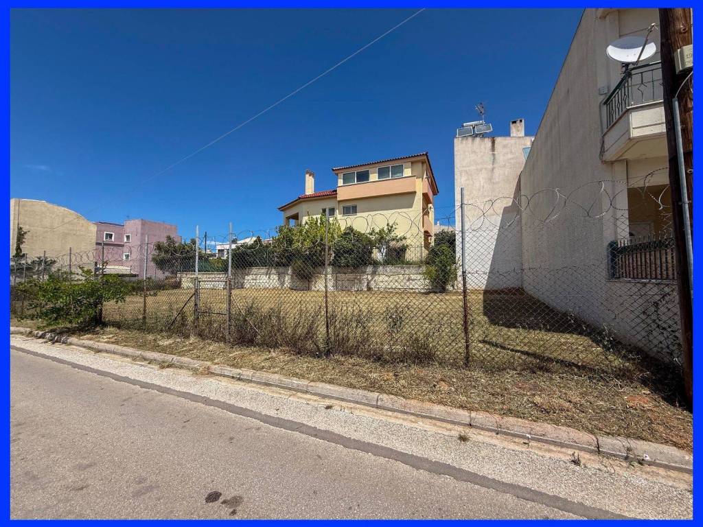 Millennium Real Estate