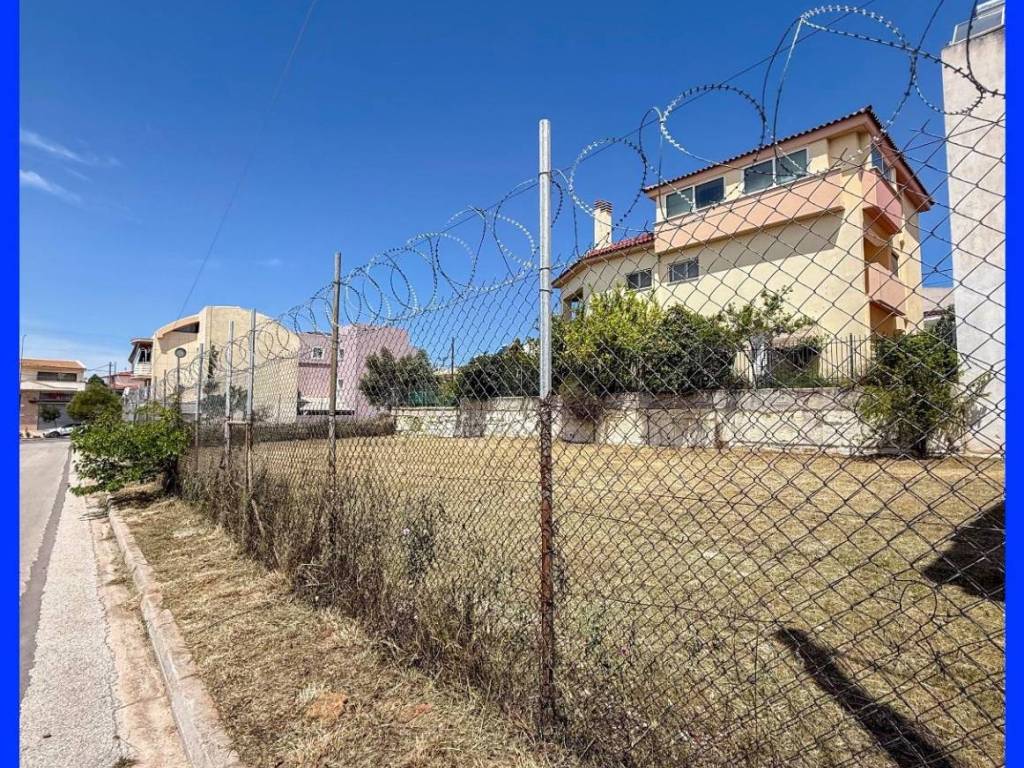 Millennium Real Estate