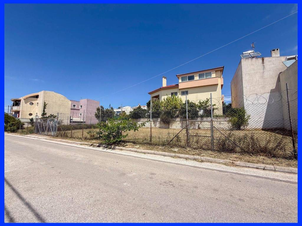 Millennium Real Estate