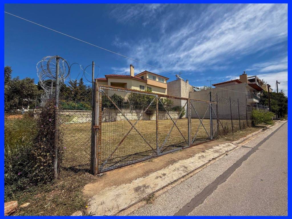 Millennium Real Estate