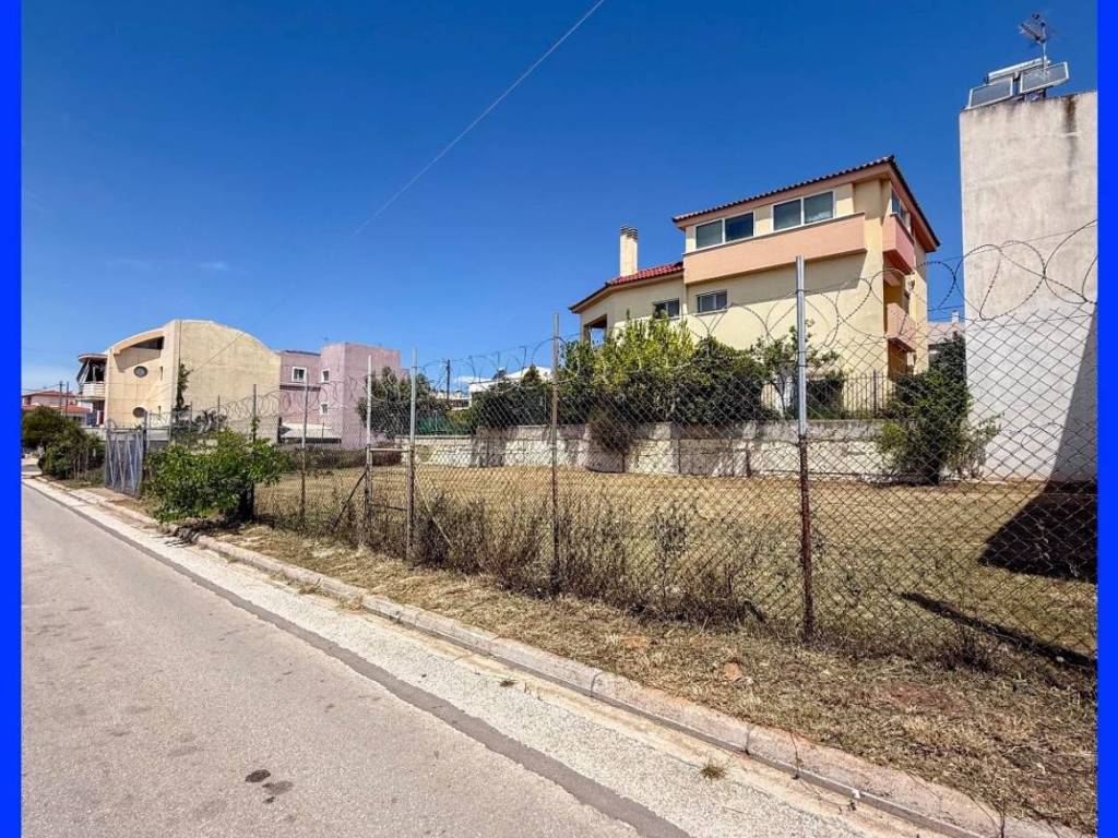 Millennium Real Estate