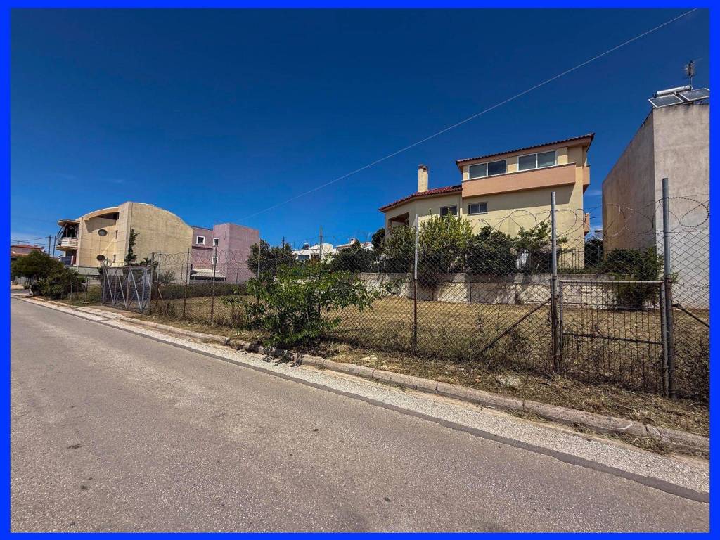 Millennium Real Estate