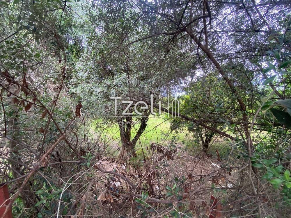 Εξωτερική άποψη χώρου