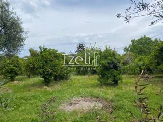 Εξωτερική άποψη χώρου