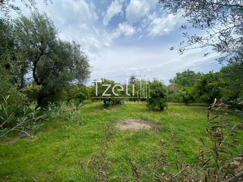 Εξωτερική άποψη χώρου