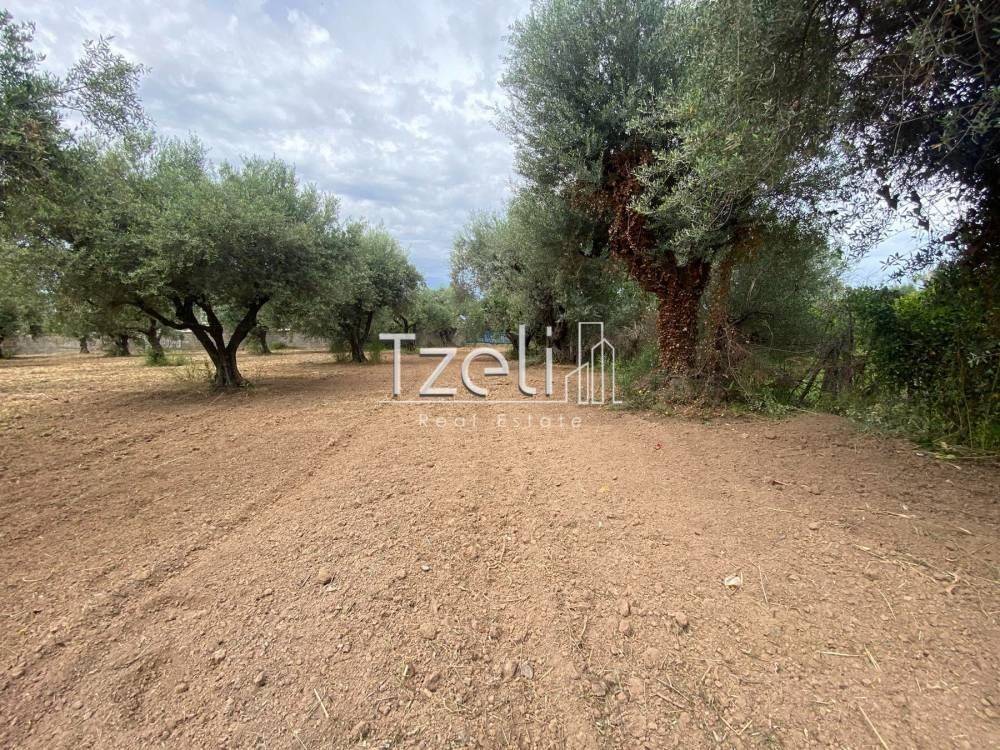 Άποψη οικοπέδου