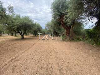 Άποψη οικοπέδου