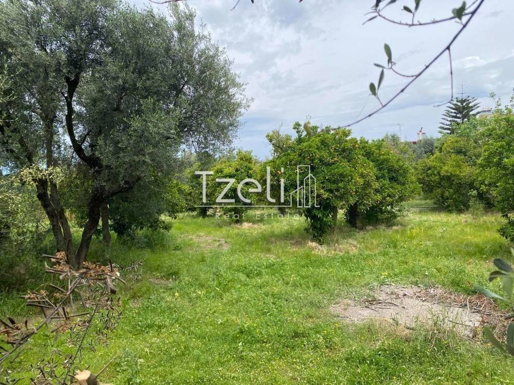 Εξωτερική άποψη χώρου