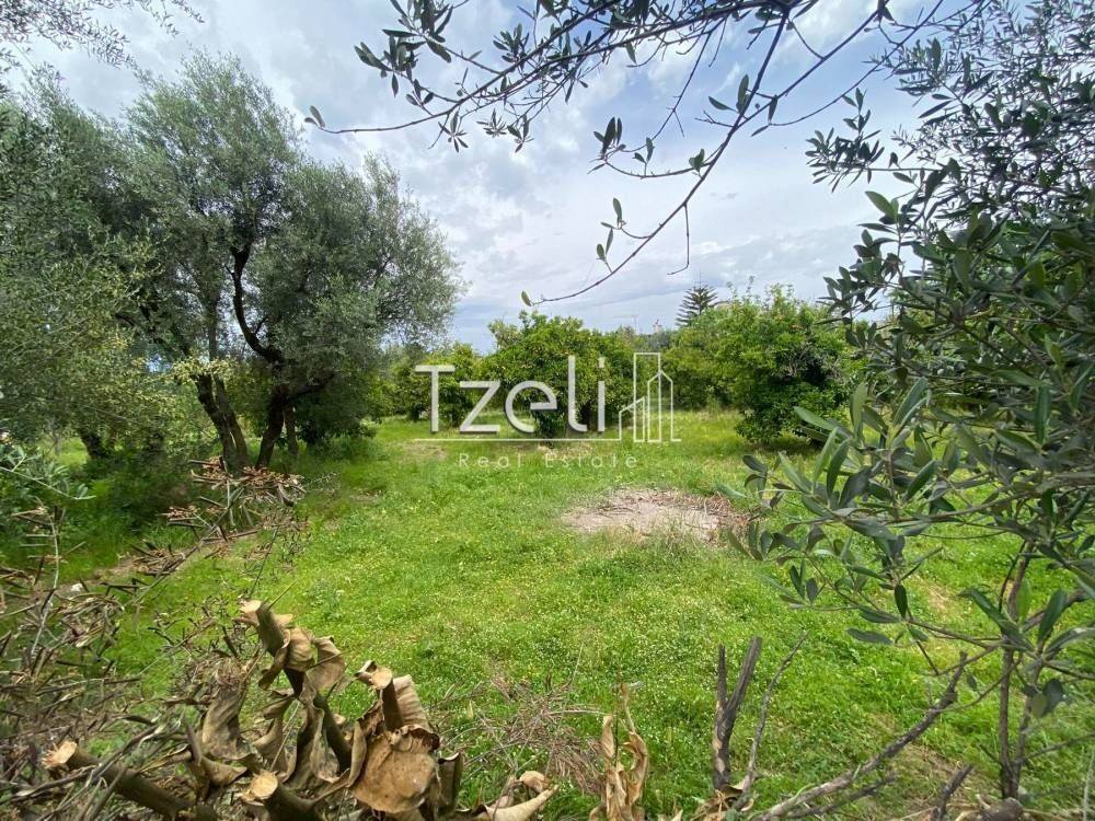 Εξωτερική άποψη χώρου