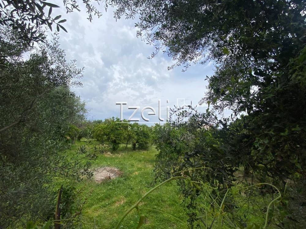 Εξωτερική άποψη χώρου