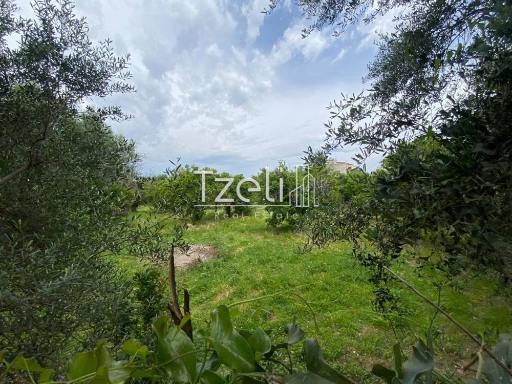 Εξωτερική άποψη χώρου