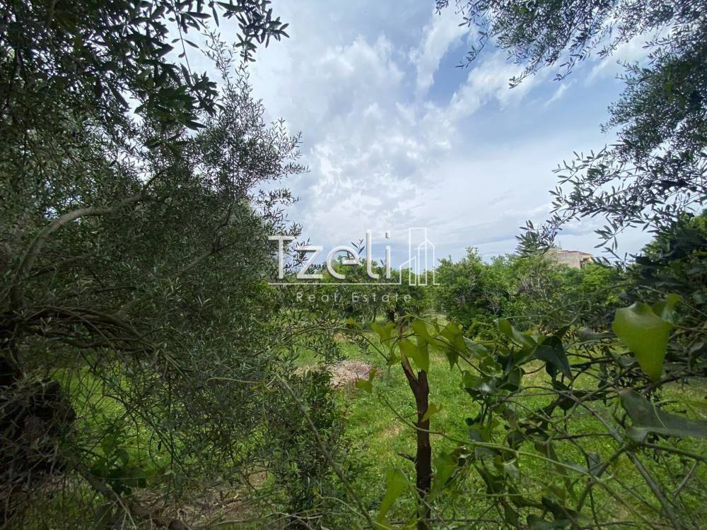 Εξωτερική άποψη χώρου