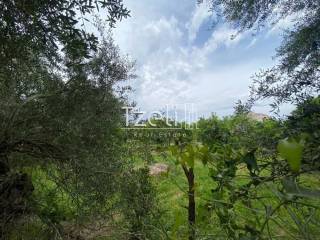 Εξωτερική άποψη χώρου