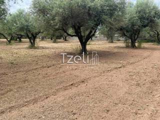 Άποψη οικοπέδου