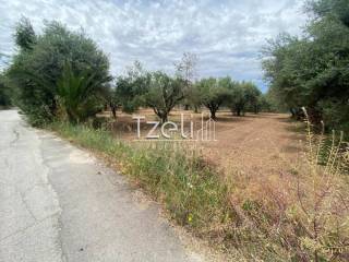 Άποψη οικοπέδου