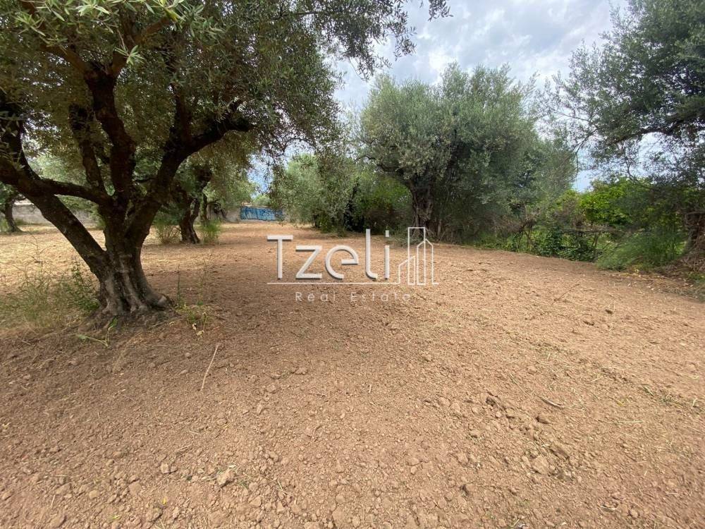 Άποψη οικοπέδου