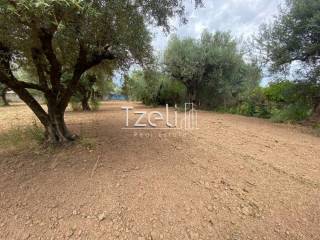 Άποψη οικοπέδου