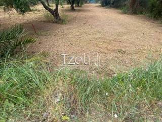 Άποψη οικοπέδου