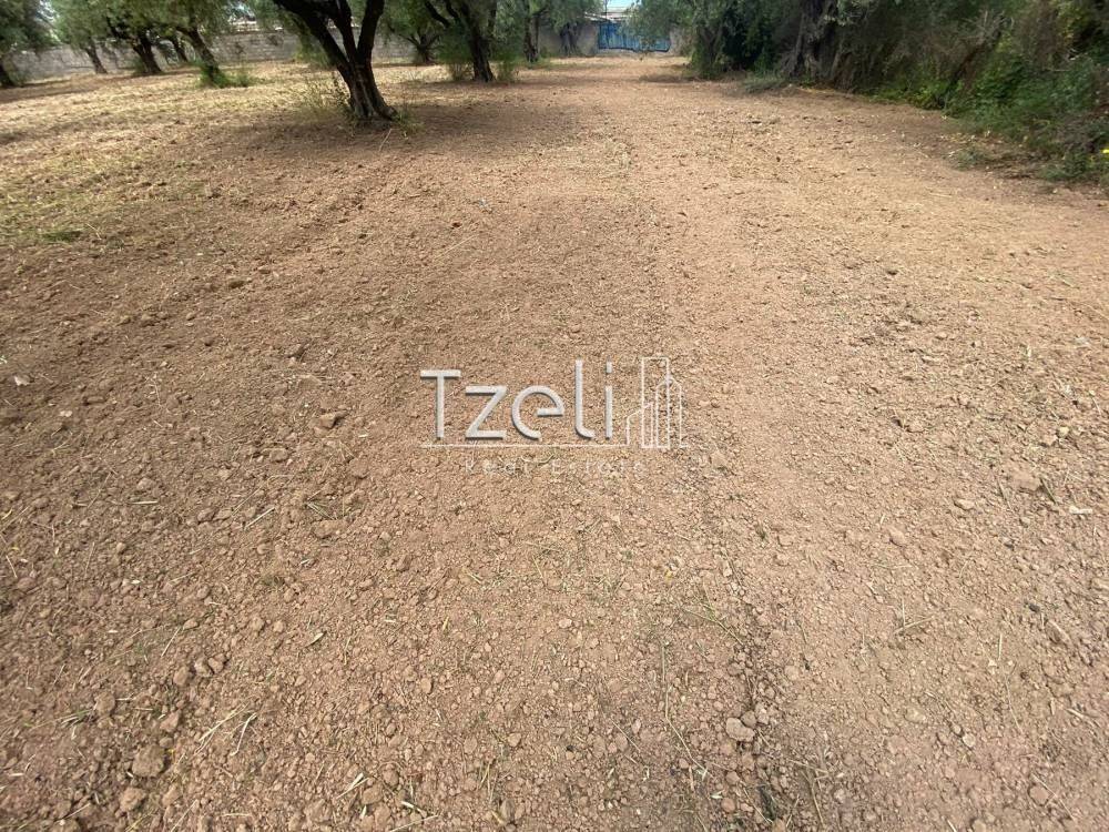 Άποψη οικοπέδου