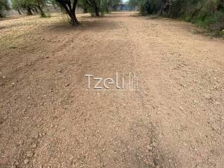 Άποψη οικοπέδου