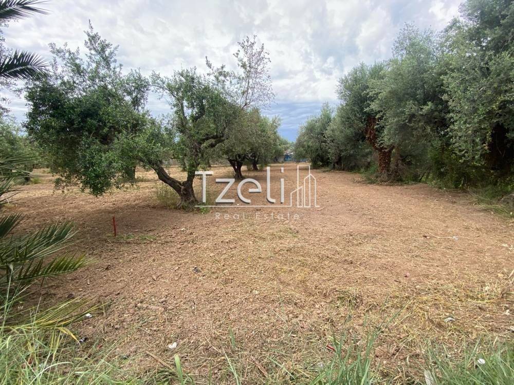 Άποψη οικοπέδου