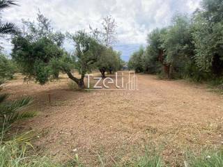 Άποψη οικοπέδου