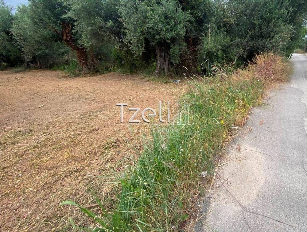 Άποψη οικοπέδου