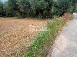 Άποψη οικοπέδου