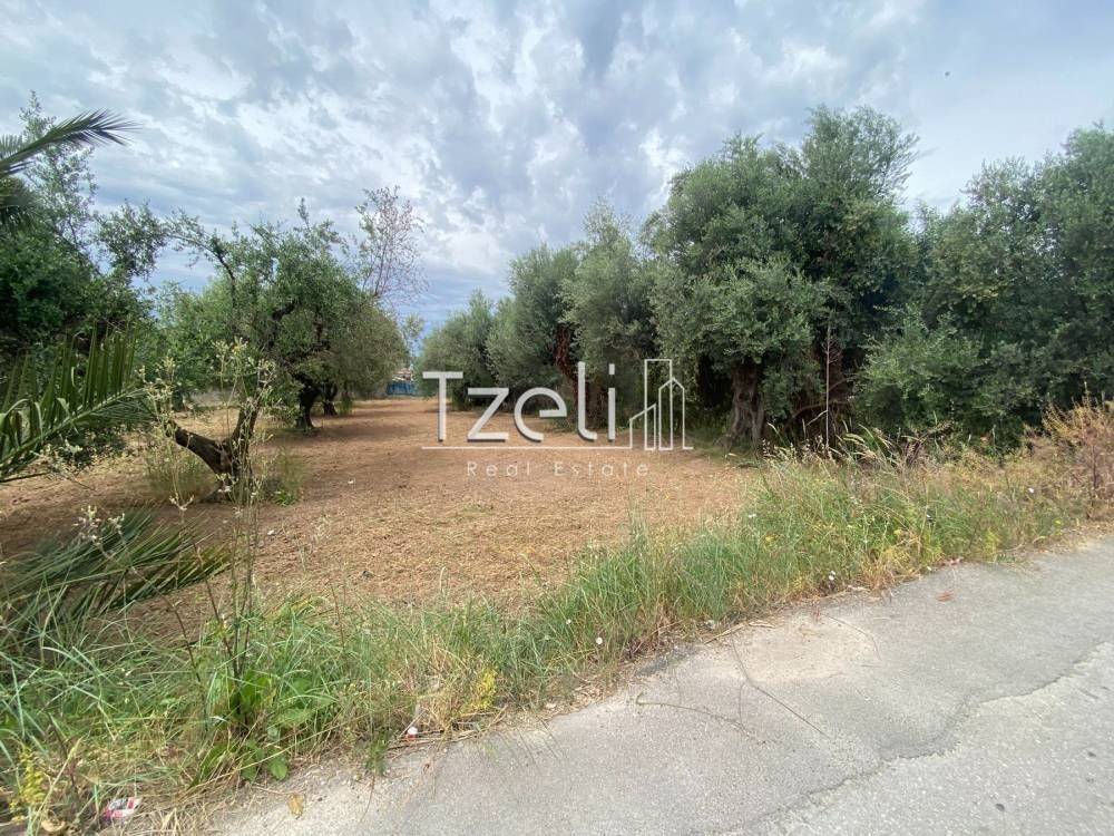 Άποψη οικοπέδου