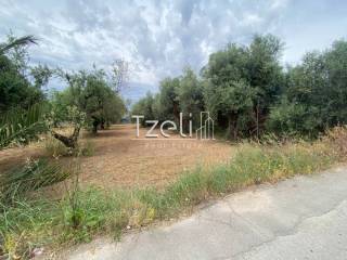 Άποψη οικοπέδου