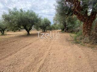 Άποψη οικοπέδου