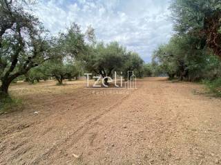 Άποψη οικοπέδου