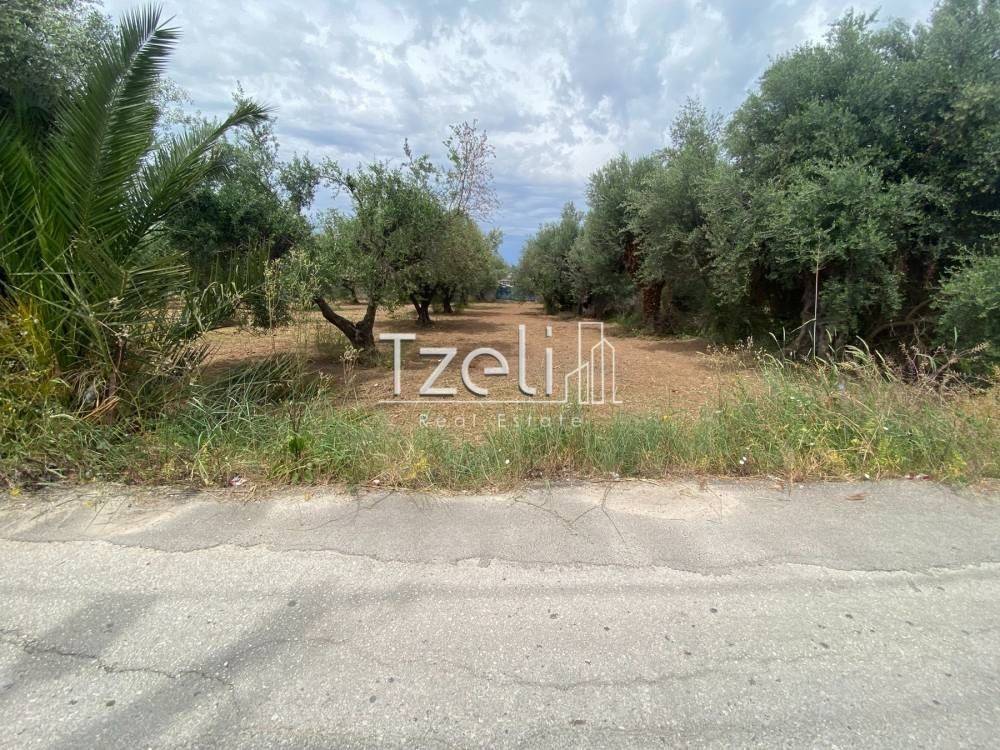 Άποψη οικοπέδου