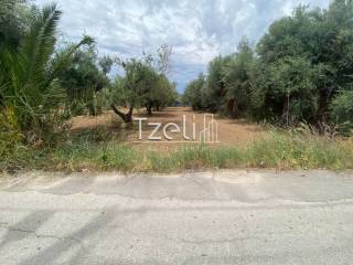 Άποψη οικοπέδου